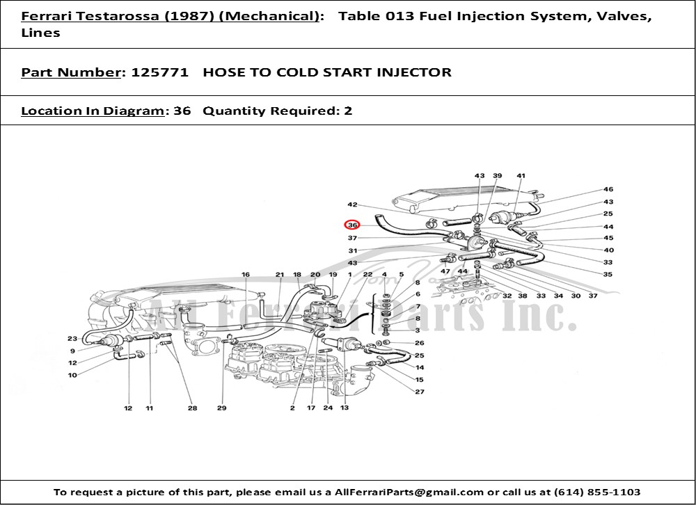 Ferrari Part 125771