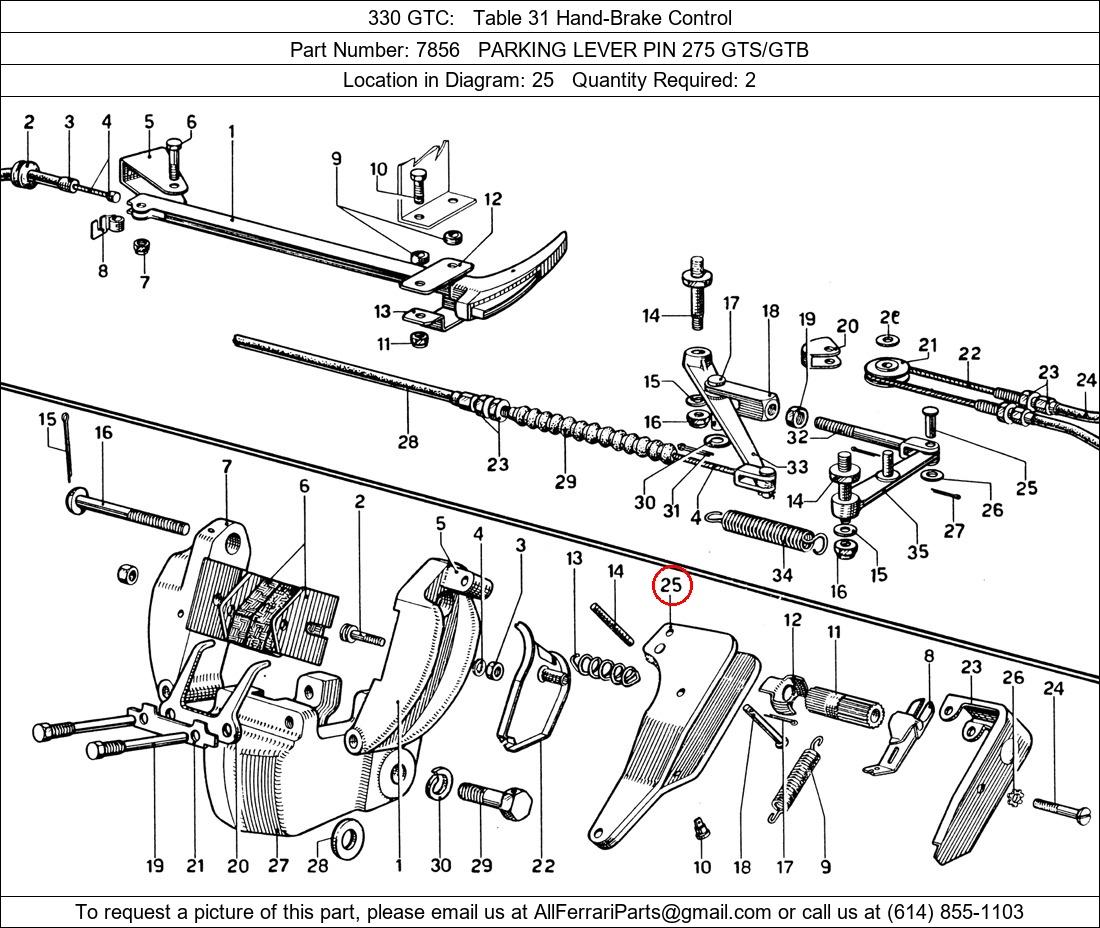 Ferrari Part 7856